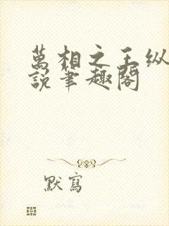 万相之王纵横小说笔趣阁封面