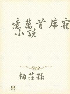 亿万首席宠上瘾 小说