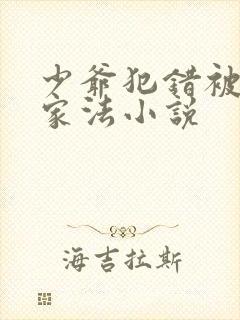 少爷犯错被执行家法小说