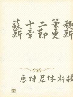 苏十二笔趣阁最新章节更新情况分享封面