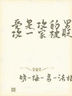 受是攻的男妻,攻一家被贬的小说