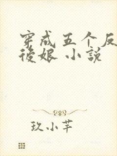 穿成五个反派的后娘 小说