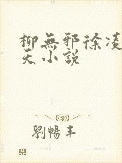 柳无邪徐凌雪吞天小说封面