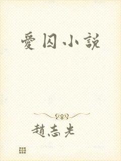 爱囚小说