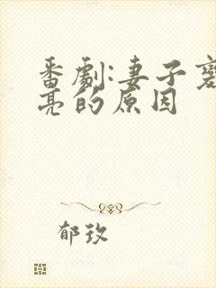 番剧:妻子变漂亮的原因封面