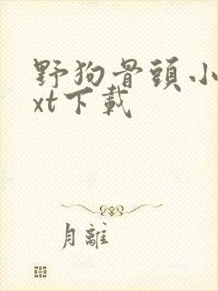 野狗骨头小说txt下载封面