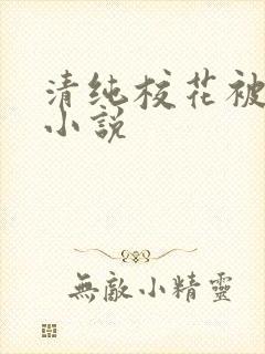 清纯校花被下药小说封面