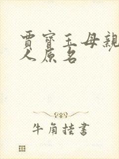 贾宝玉母亲王夫人原名封面