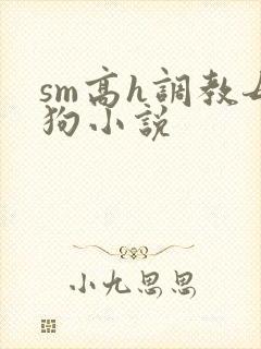 sm高h调教母狗小说封面