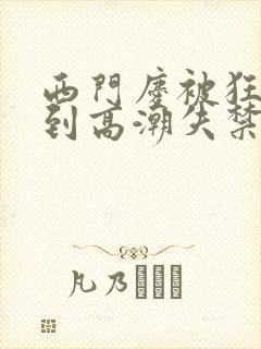 西门庆被狂c躁到高潮失禁小说