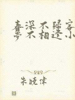春深不归客,清梦不相逢小说免费阅读封面