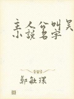 主人公叫吴云的小说名字