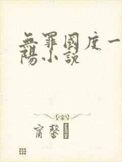 无罪国度一路向阳小说