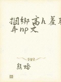 捆绑高h羞耻玩弄np文