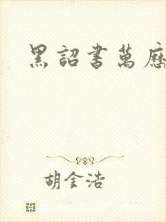 黑诏书万历小说