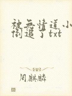 被无情道小师弟倒追了txt