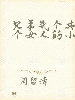 兄弟几个共娶一个女人的小说