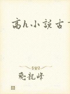 高h小说古言