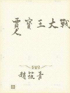 贾宝玉大战王夫人封面