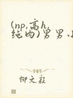 (np,高h,纯肉)男男小说