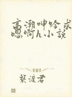 高潮呻吟求饶h嗯啊h小说