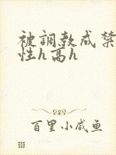 被调教成禁脔双性h高h