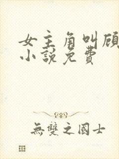 女主角叫顾念的小说免费