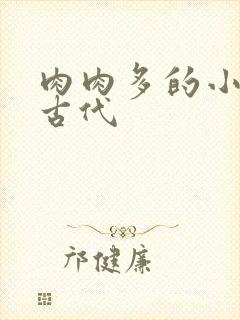 肉肉多的小说h古代封面