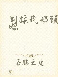 别揉我奶头啊 嗯封面