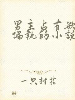 男主占有欲极强偏执的小说