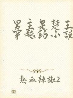 男主是楚王女主穿越的小说