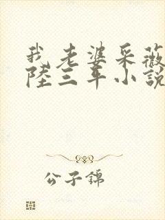 我老婆采薇养父陆三平小说在人间