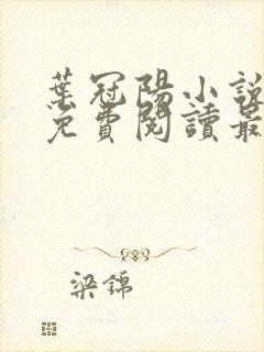 叶冠阳小说全文免费阅读最新章节