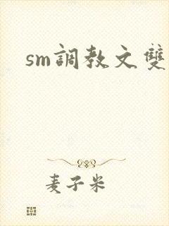 sm调教文双男