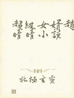 超级女婿赵旭李晴晴小说封面