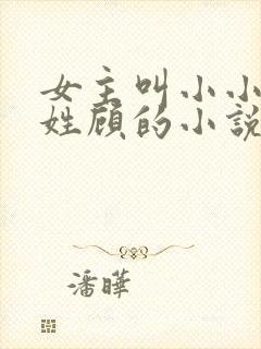女主叫小小男主姓顾的小说