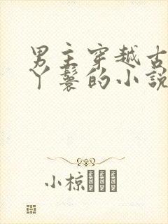 男主穿越古代买丫鬟的小说封面