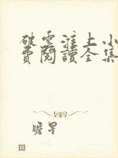 破云淮上小说免费阅读全集