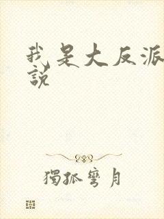 我是大反派的小说