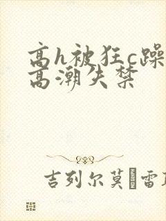 高h被狂c躁到高潮失禁