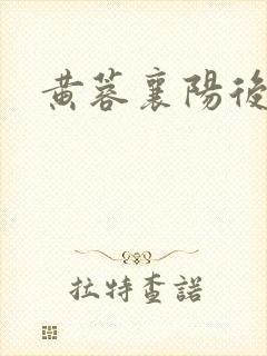 黄蓉襄阳后记续封面