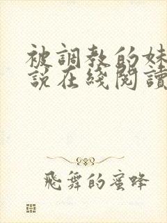 被调教的妹妹小说在线阅读封面