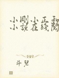 小刚小正和小柔小说在线阅读