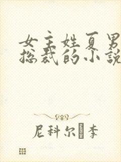 女主姓夏男主是总裁的小说