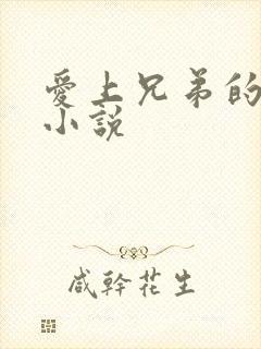 爱上兄弟的老婆小说