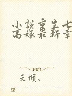 小说重生七零再高嫁最新章节封面