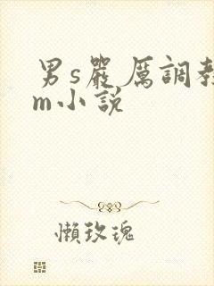 男s严厉调教女m小说