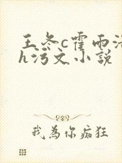 王冬c霍雨浩高h污文小说封面