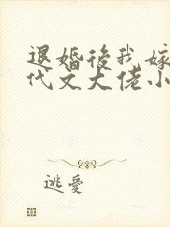 退婚后我嫁给年代文大佬小说