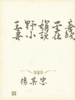 王野娟子妾不如妻小说在线阅读
